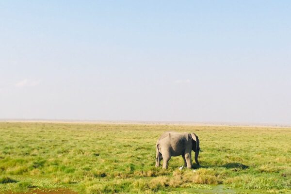 IMG-20250410-WA0017
