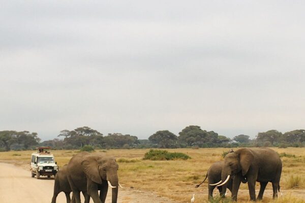 IMG-20250410-WA0021