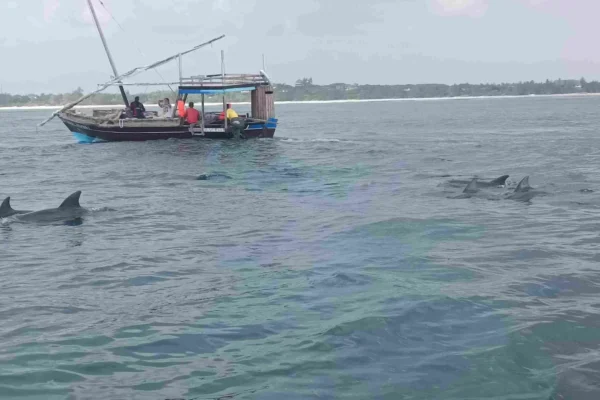 safari-blu-mida-creek-2-scaled